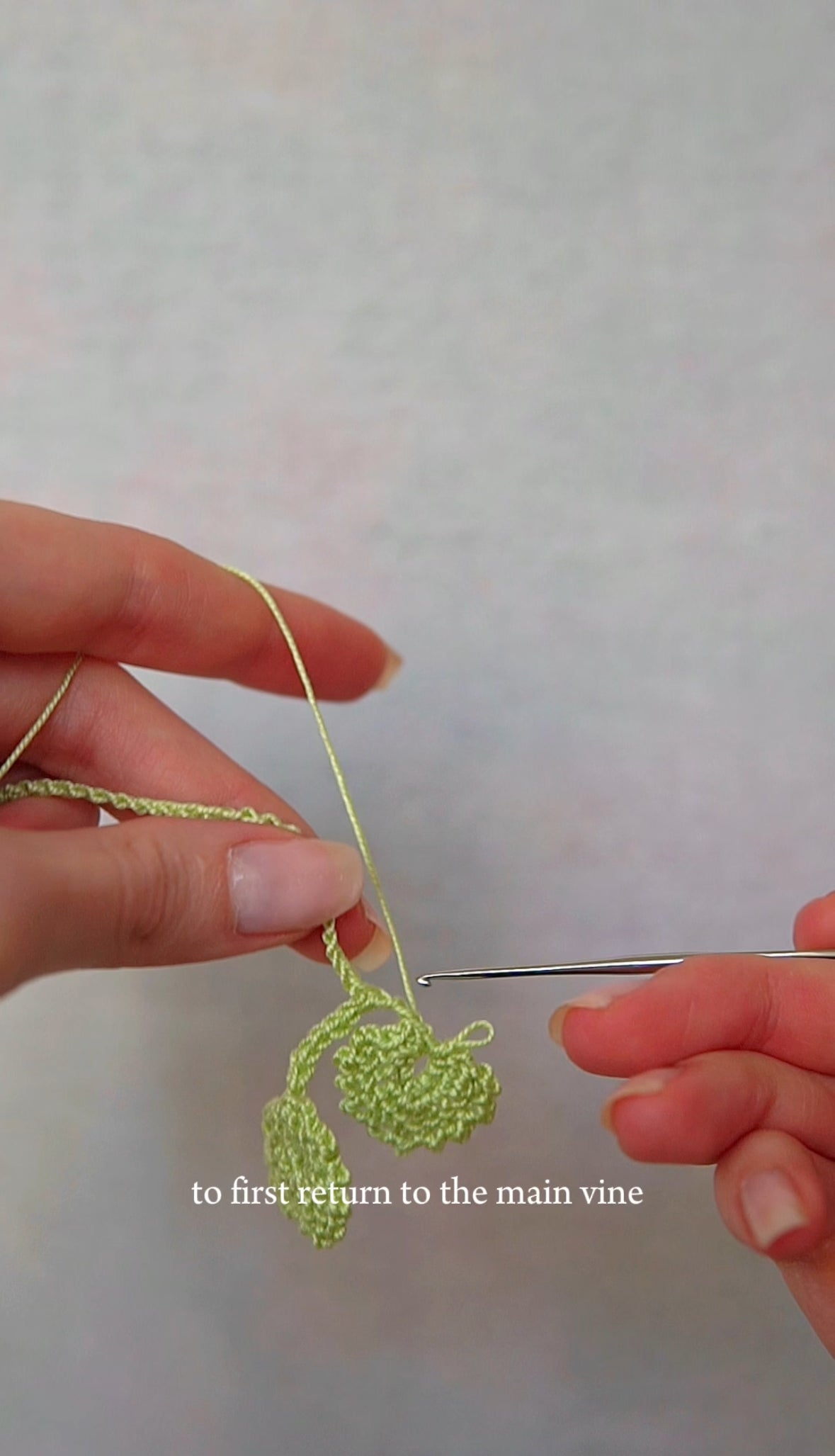 Video Tutorial: How to Crochet Roses 🌹 Rose Flower Crown 🌸